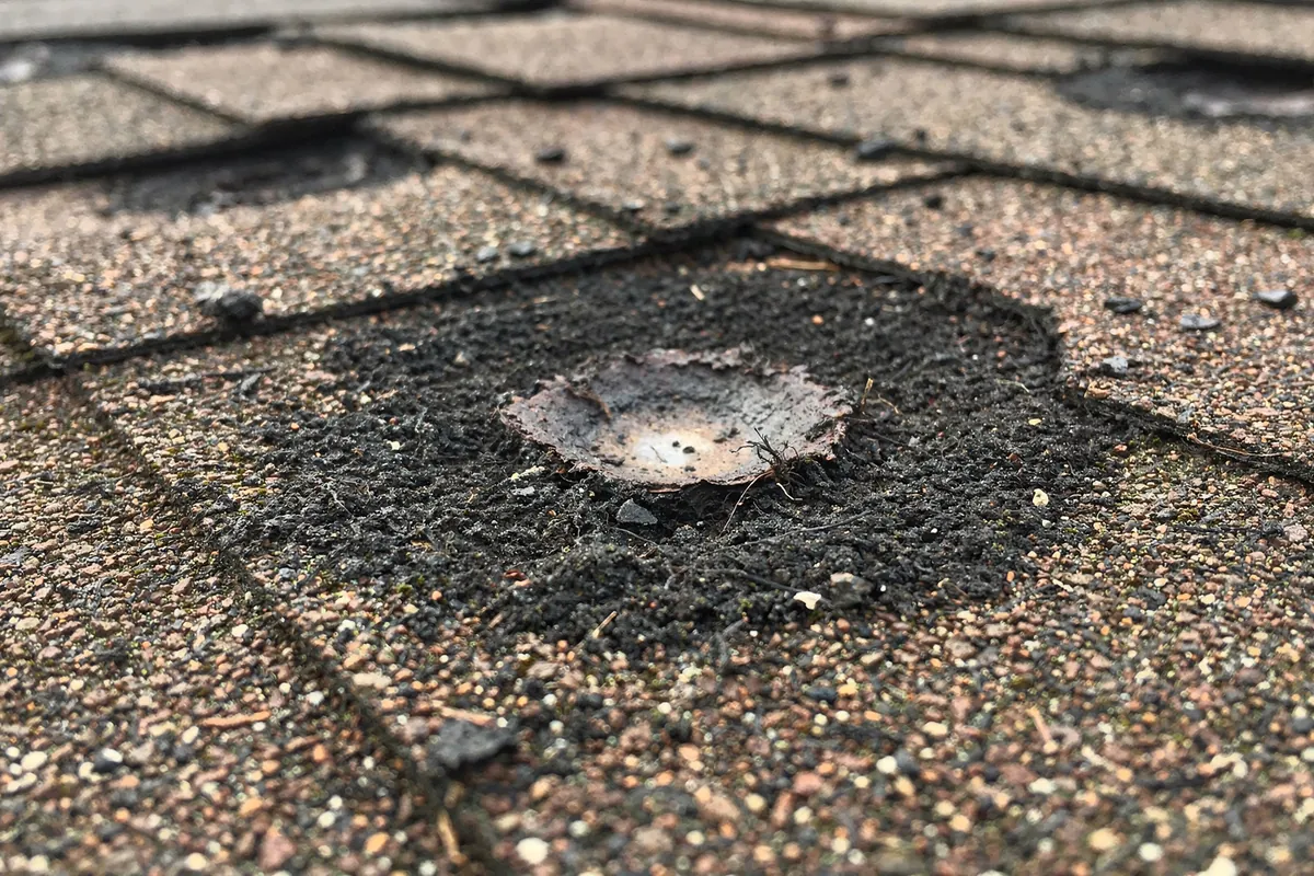 Round hail impacts on grey asphalt shingles with the granules knocked off and dark asphalt showing through.